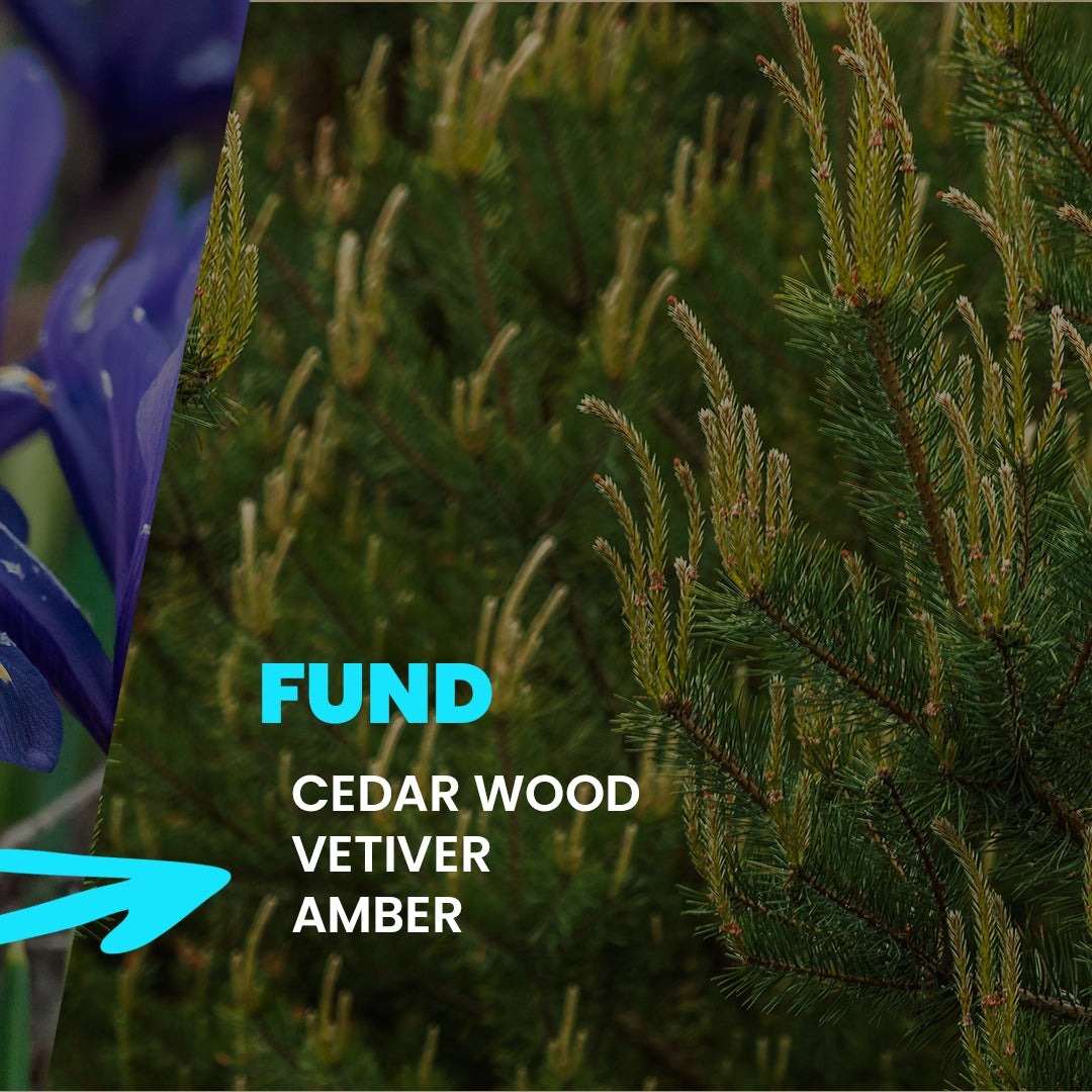 Крем-гель для ванны Tesori d'Oriente Аюрведа масло амлы и пачули 500мл фото 9