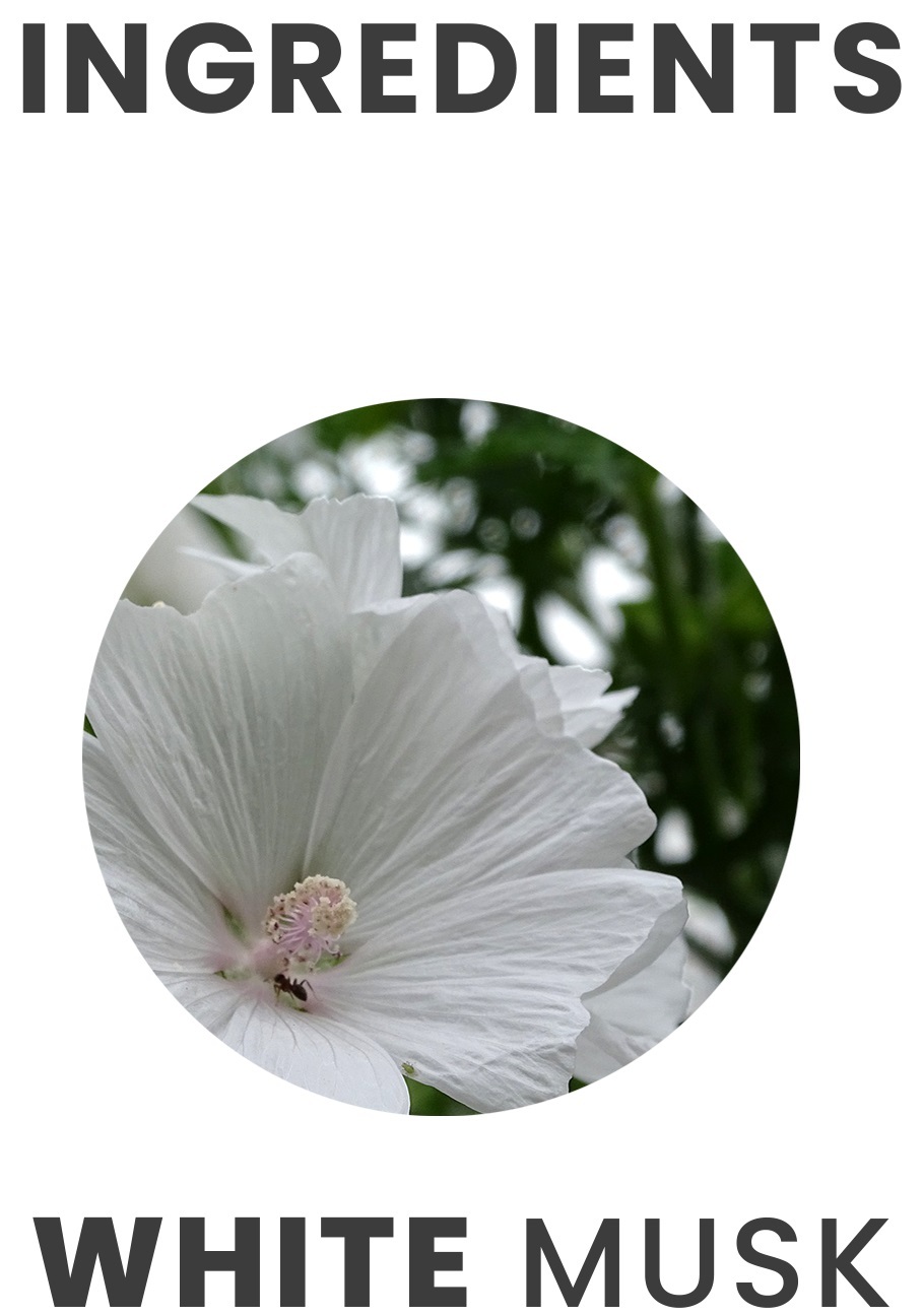 Крем-гель для ванни Tesori d'Oriente Білий мускус 500млфото