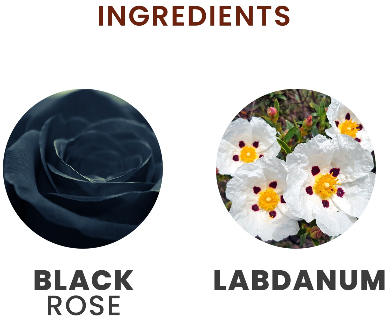 Крем-гель для ванны Tesori d'Oriente Византия черная роза и ламданум 500мл фото