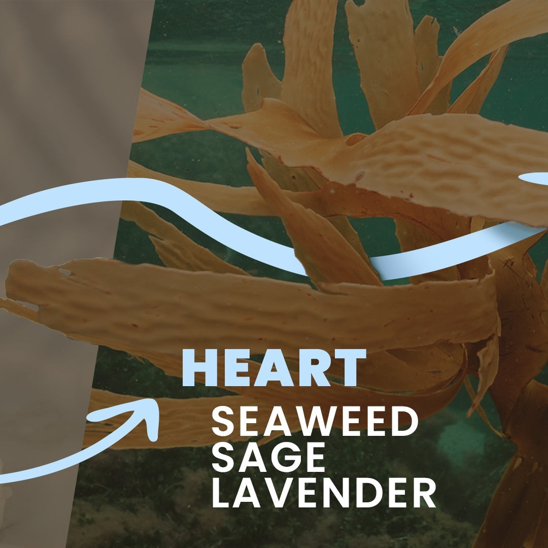 Крем-гель для ванни Tesori d'Oriente Талассо терапія 500млфото