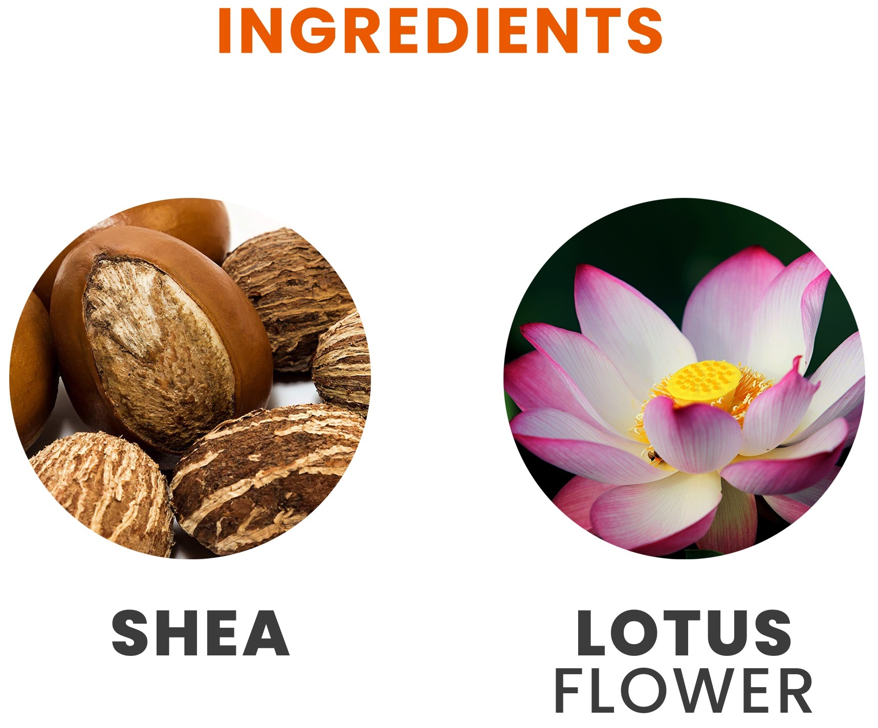 Крем для тіла Tesori d'Oriente Квітка лотосу та олія ши 300млфото