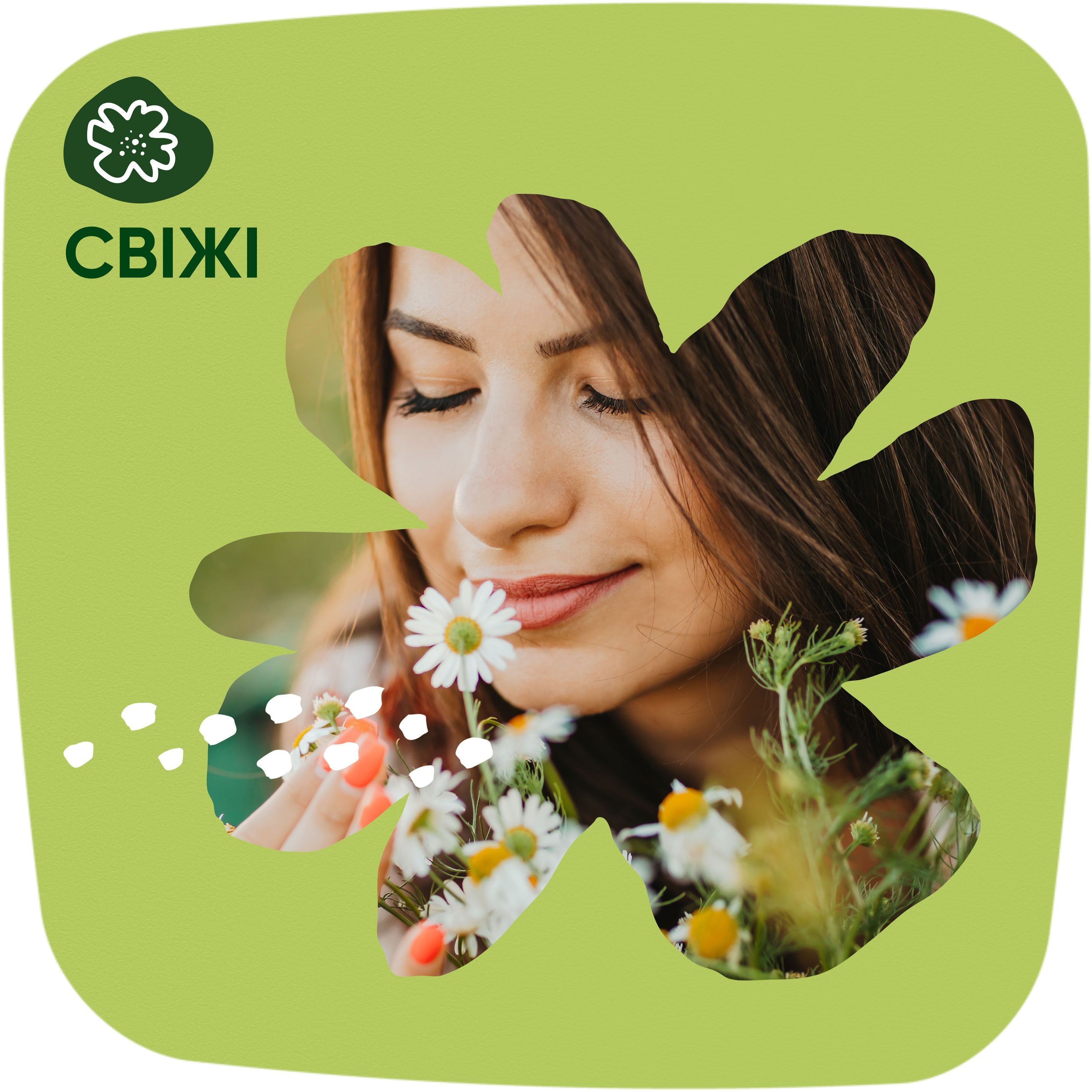 Щоденні прокладки Naturella Normal Camomile 74 штфото4