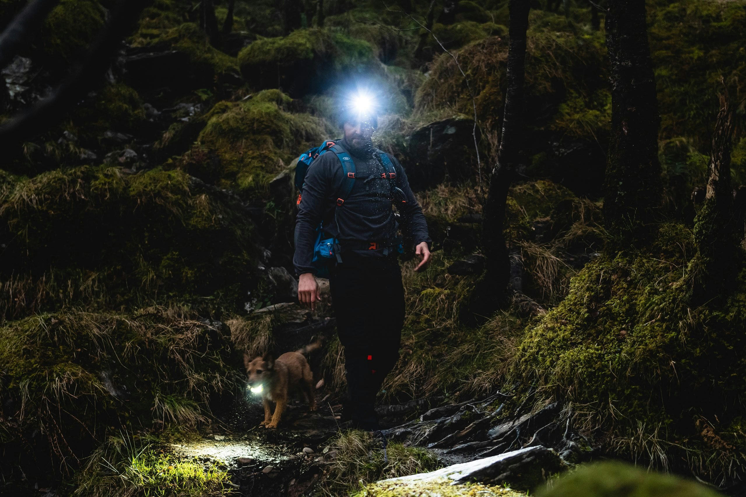 Фонарь налобный Highlander Polaris 550 Rechargable Head Torch Black (TOR195) фото 9
