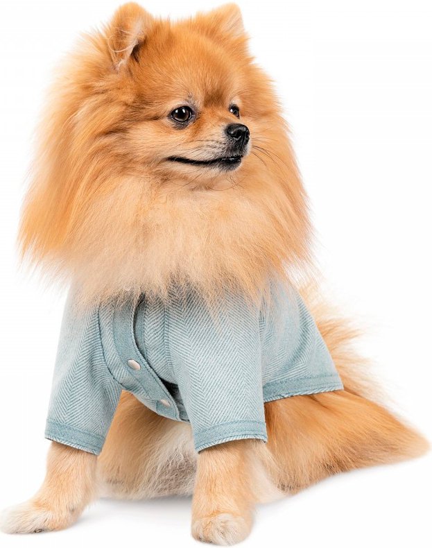 Кардиган для собак Pet Fashion Denis розмір XS м`ятнийфото4
