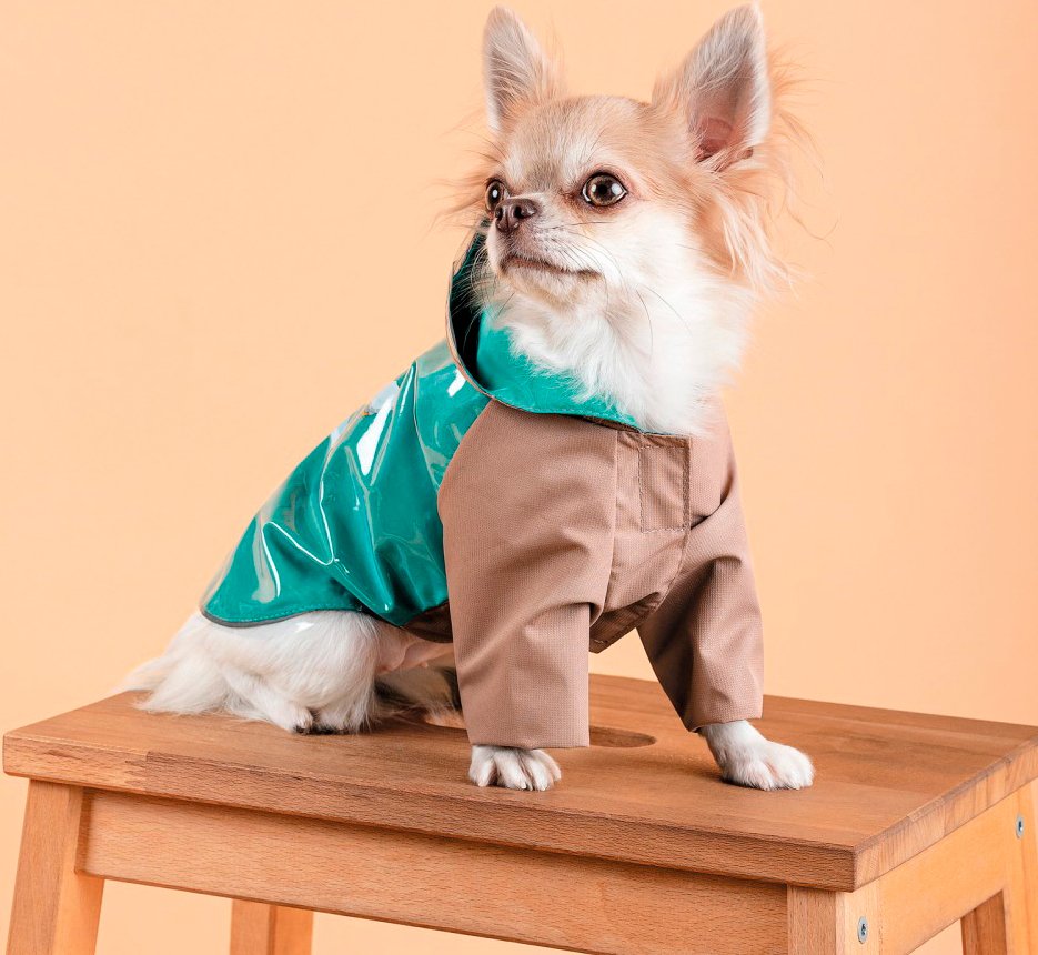 Дощовик для собак Pet Fashion Semmy розмір XS2фото4