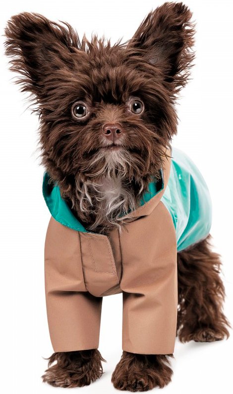 Дощовик для собак Pet Fashion Semmy розмір Mфото2