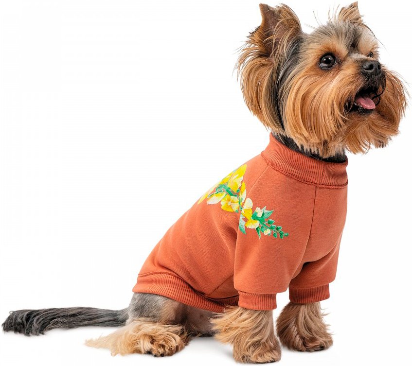 Толстовка для собак Pet Fashion Miley розмір Mфото