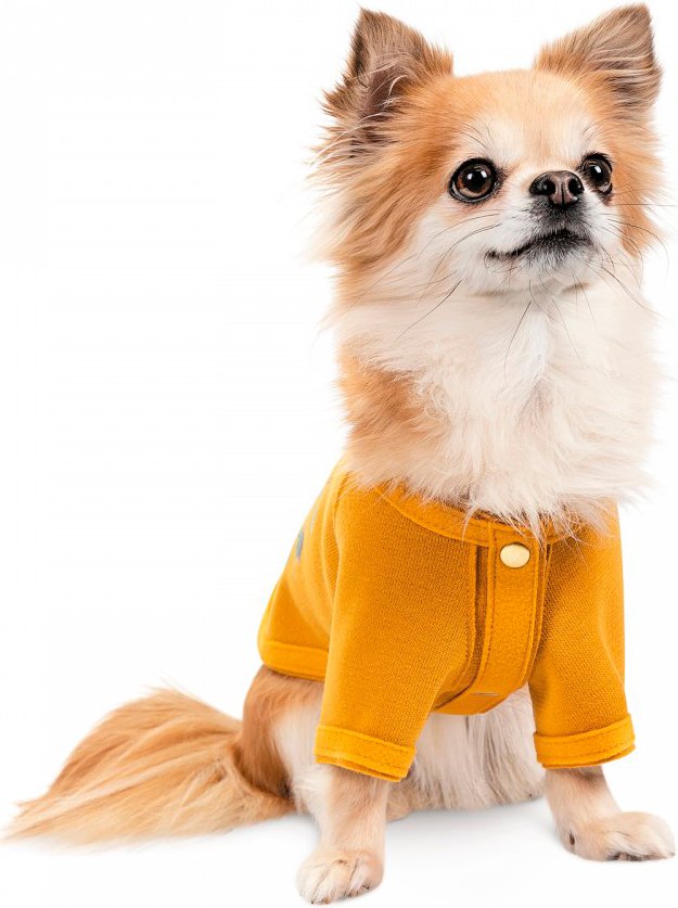 Кардиган для собак Pet Fashion Denis размер S желтый фото 2