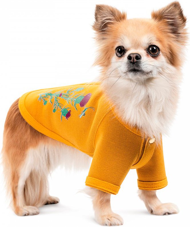 Кардиган для собак Pet Fashion Denis размер S желтый фото 3