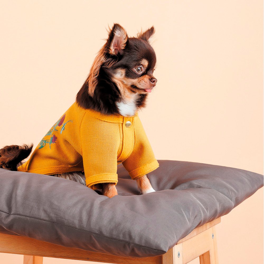 Кардиган для собак Pet Fashion Denis размер XS желтый фото 6