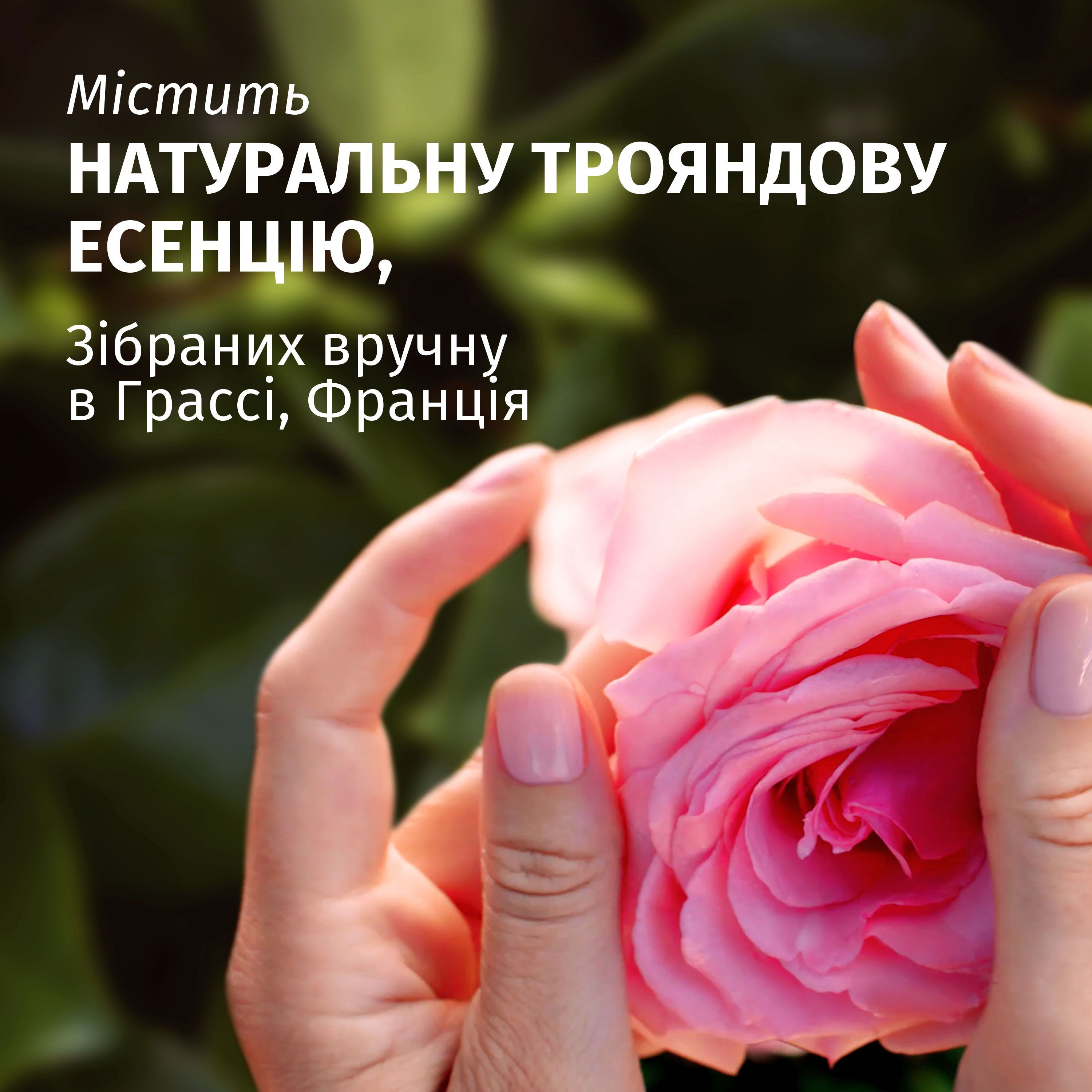 Маска для волосся Herbal Essences Аромат рози 300млфото3