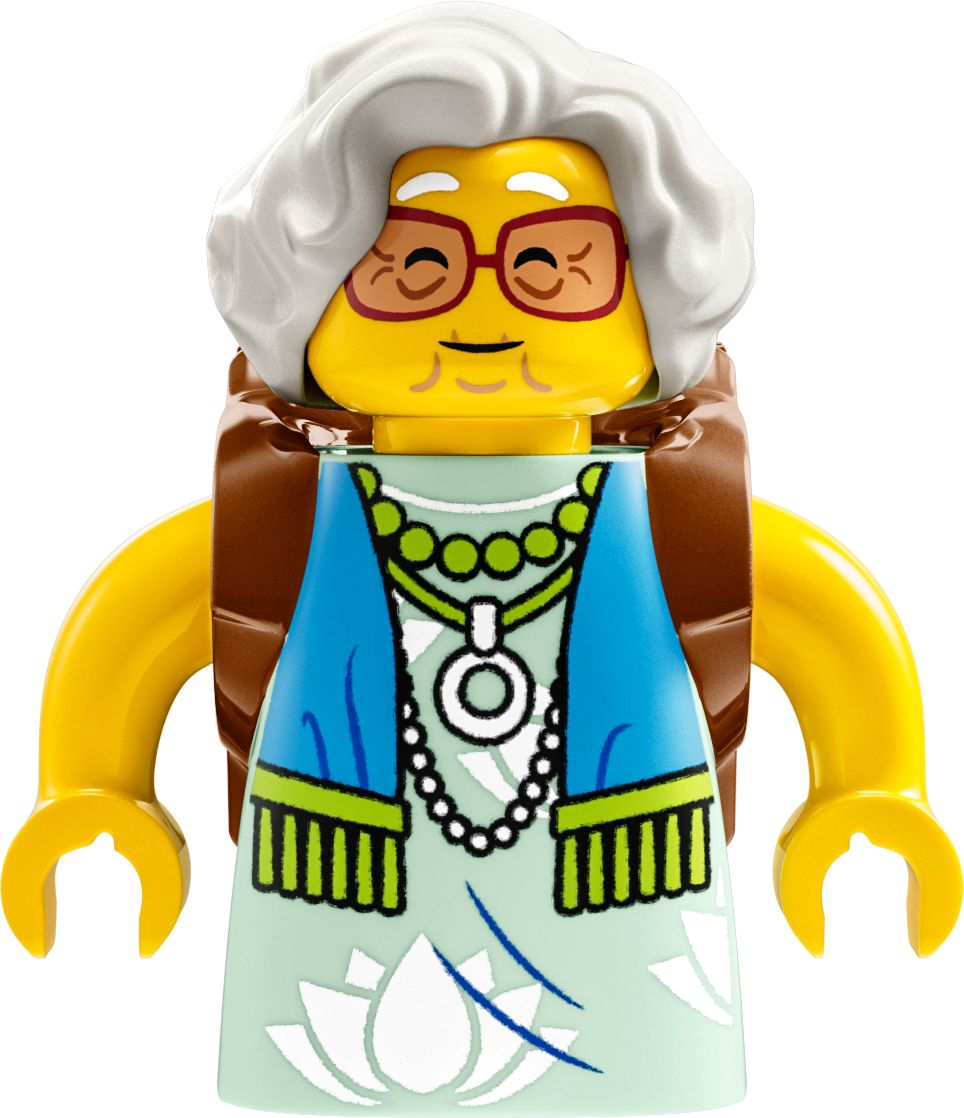 Конструктор LEGO DREAMZzz™ Фургон Черепаха пані Кастільофото10