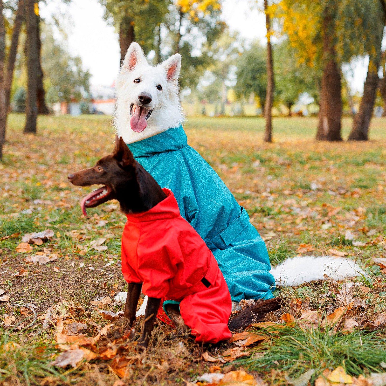 Комбинезон для собак Pet Fashion Rain размер 7XL бирюзовый фото 4