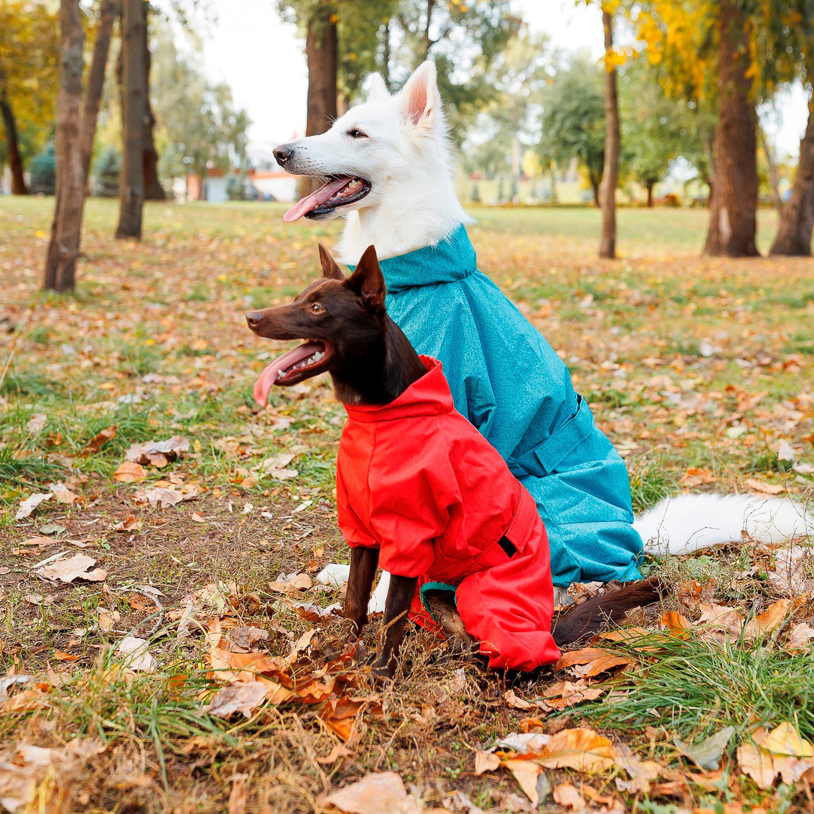 Комбинезон для собак Pet Fashion Rain размер 7XL бирюзовый фото 6