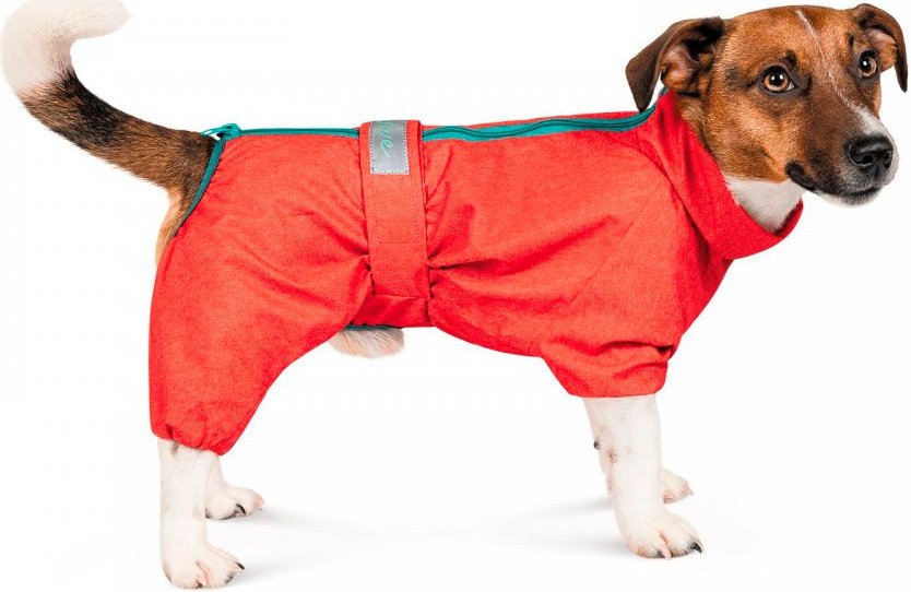 Комбінезон для собак Pet Fashion Rain розмір ML червонийфото2