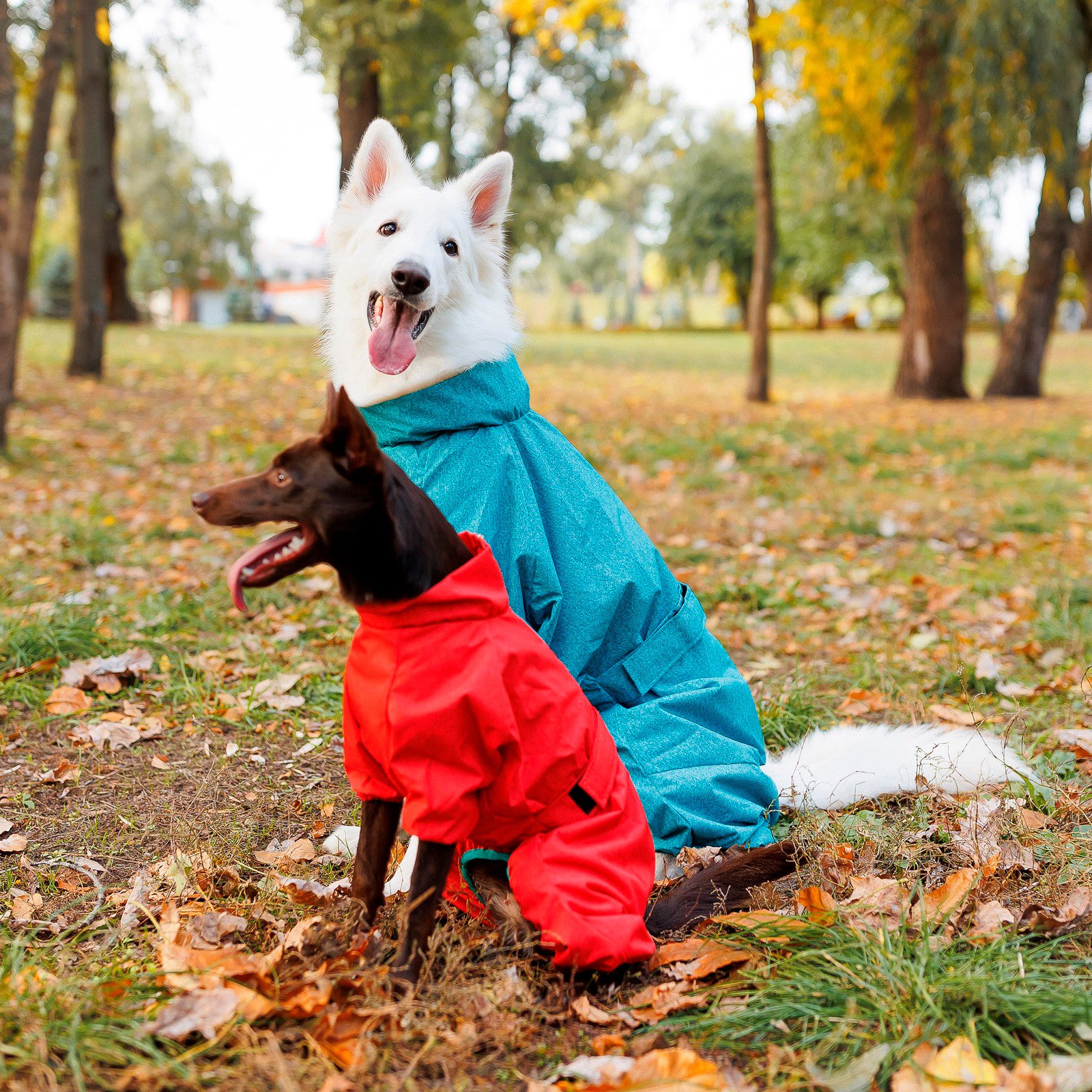 Комбинезон для собак Pet Fashion Rain размер 4XL красный фото 5