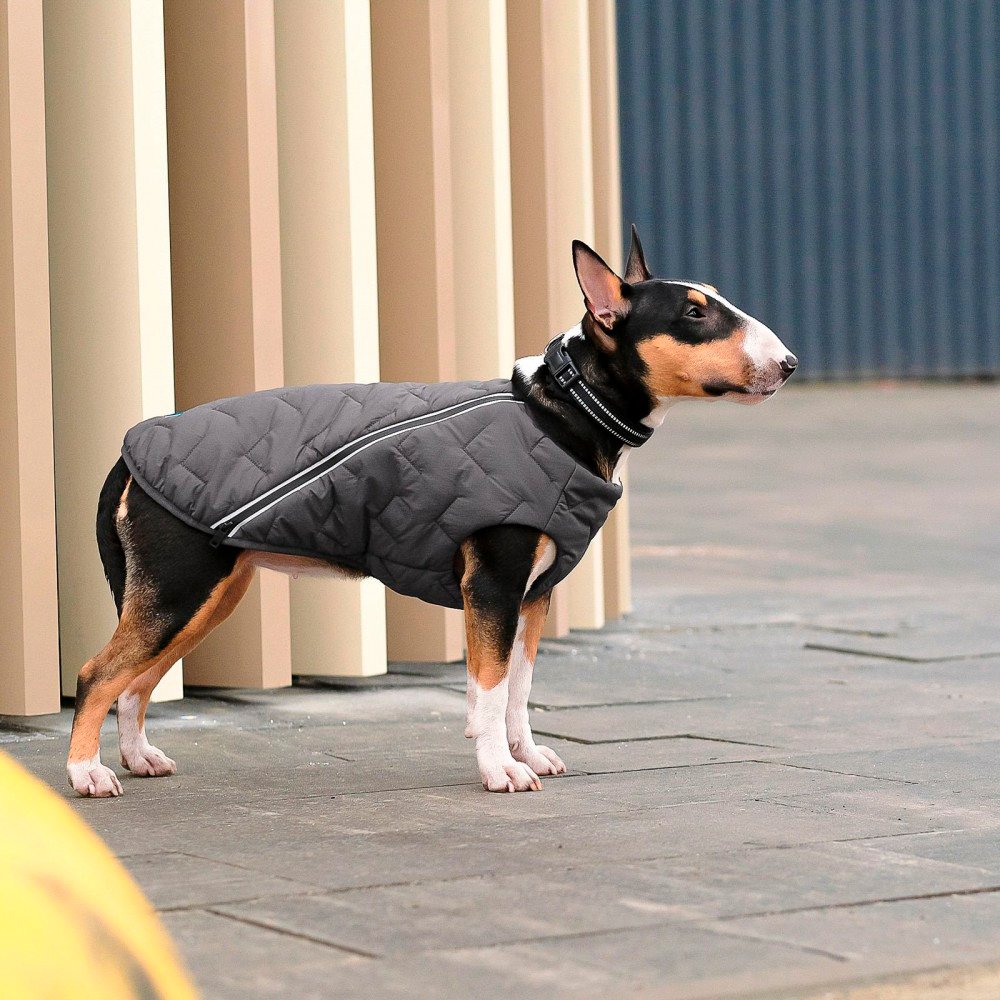 Жилет для собак Pet Fashion E.Vest размер М серый фото 3