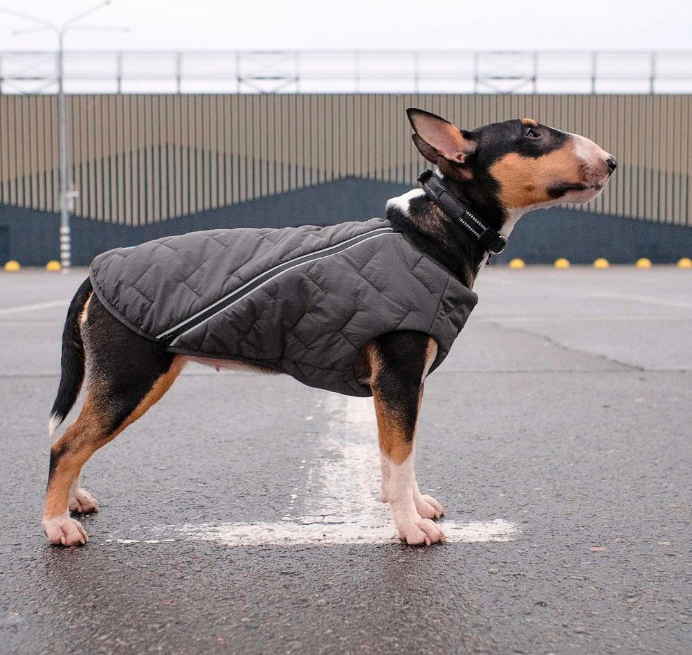 Жилет для собак Pet Fashion E.Vest размер М серый фото 4
