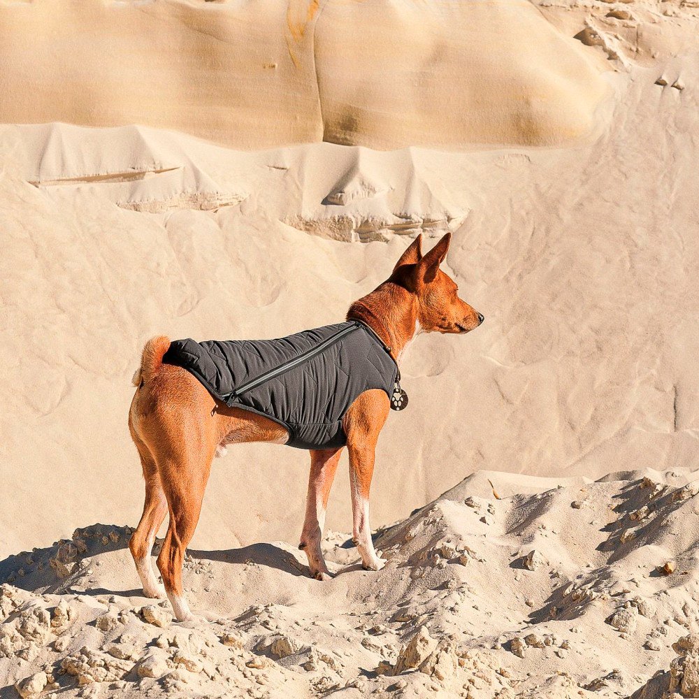 Жилет для собак Pet Fashion E.Vest размер SМ серый фото 5