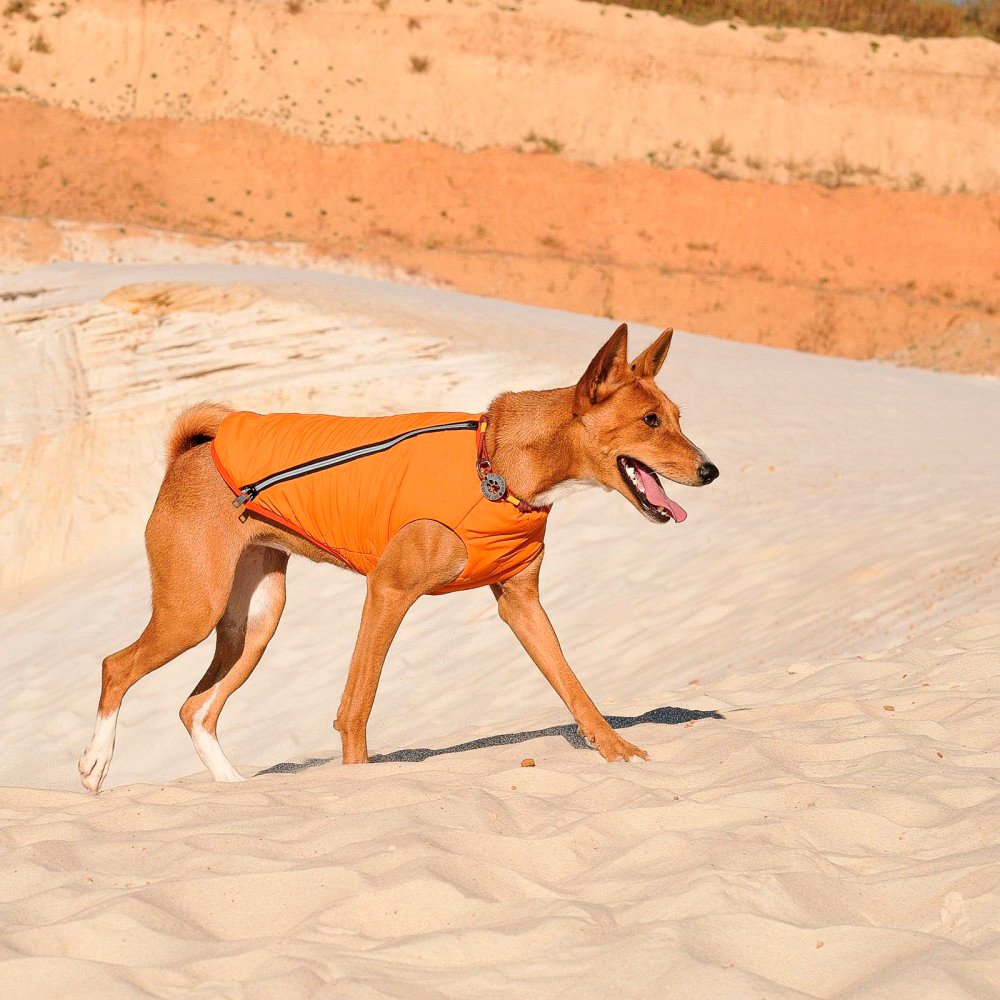 Жилет для собак Pet Fashion E.Vest размер XL оранжевый фото 3