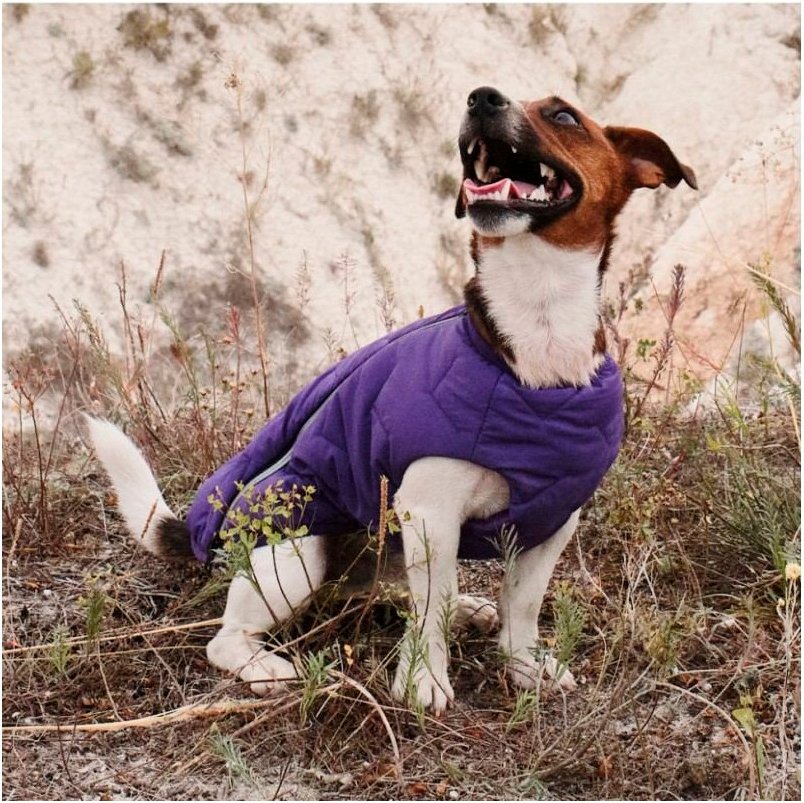 Жилет для собак Pet Fashion E.Vest розмір XL фіолетовийфото5