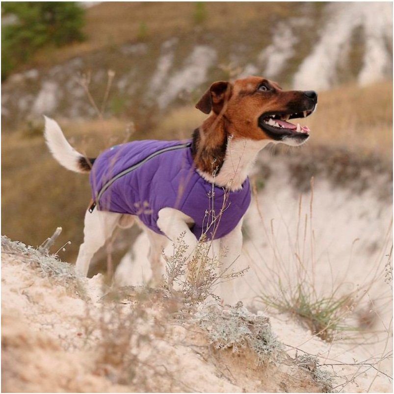 Жилет для собак Pet Fashion E.Vest размер S фиолетовый фото 4