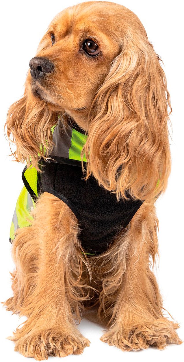 Жилет для собак Pet Fashion Warm Yellow Vest размер L желтый фото 7
