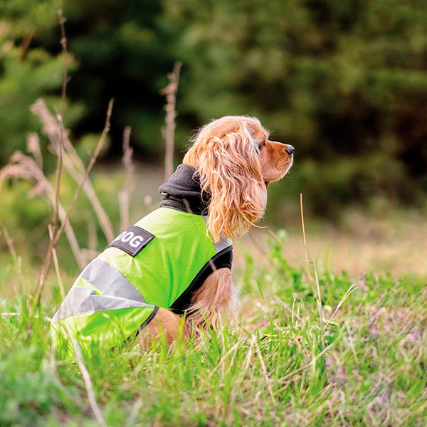 Жилет для собак Pet Fashion Warm Yellow Vest розмір XS жовтийфото