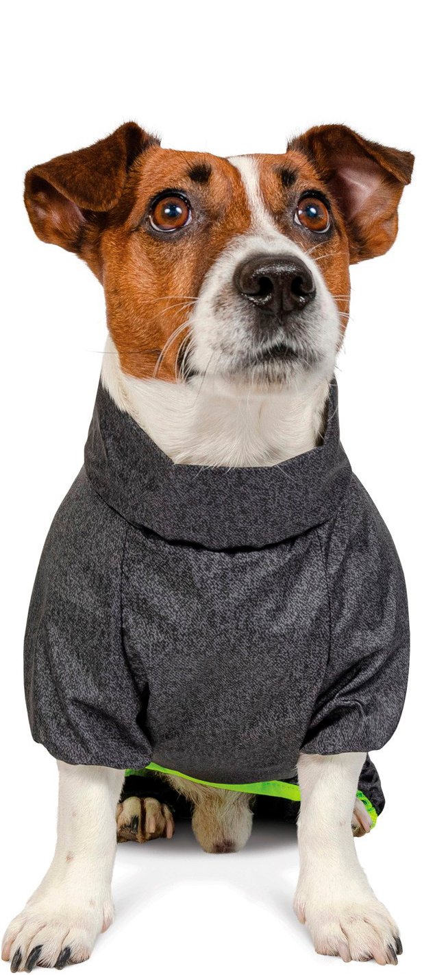 Комбинезон для собак Pet Fashion Rain размер XS серый фото 3