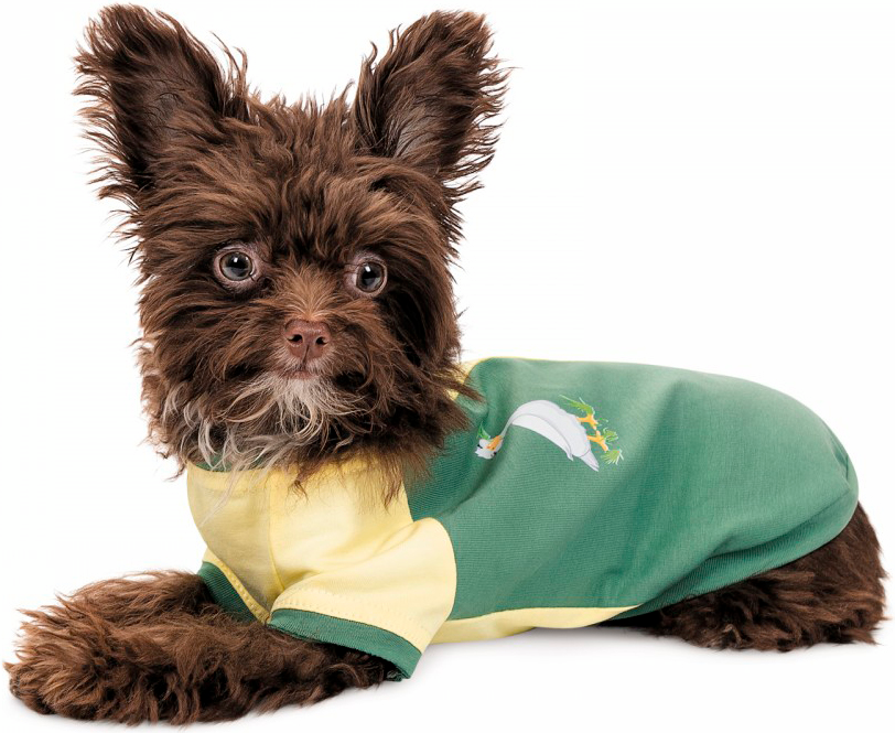 Футболка для собак Pet Fashion Endy розмір ХSфото