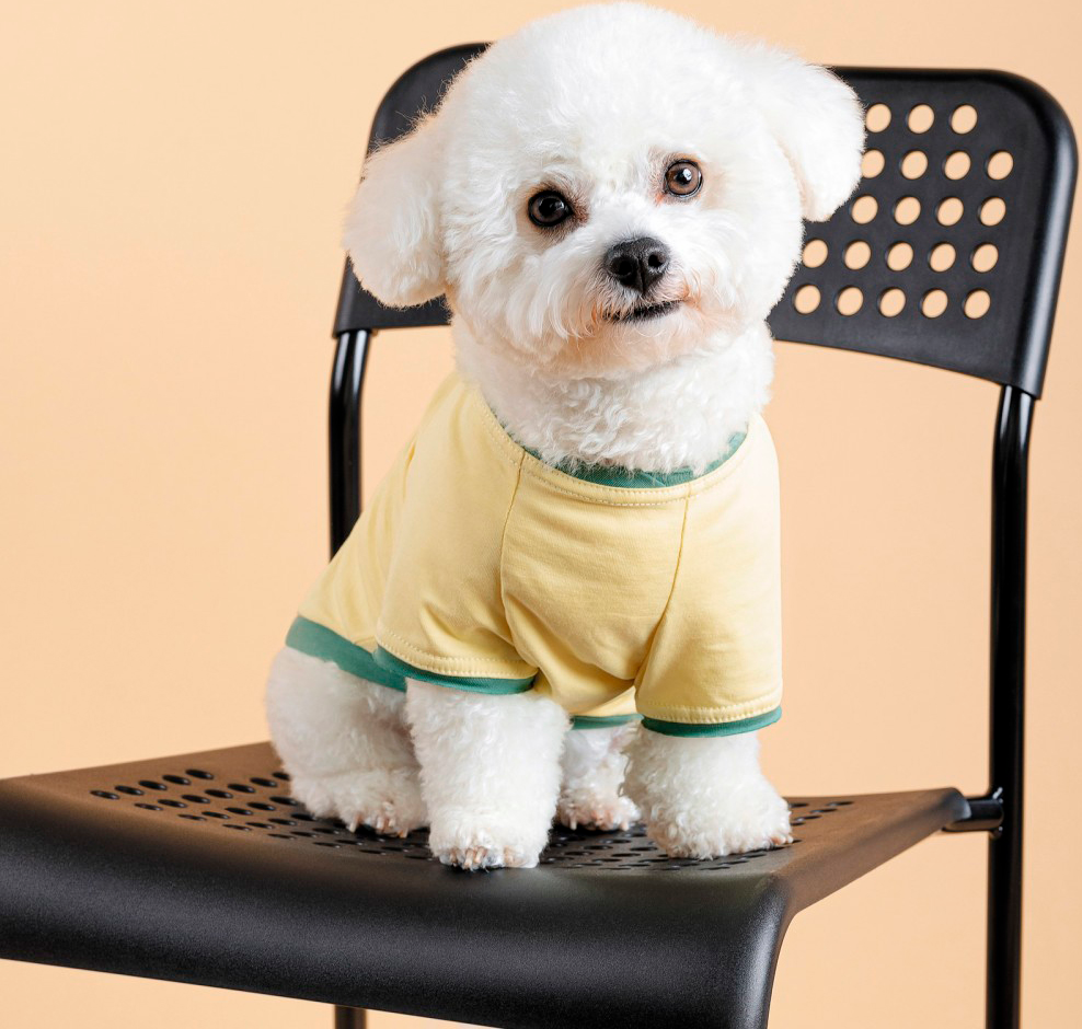 Футболка для собак Pet Fashion Endy розмір ХSфото