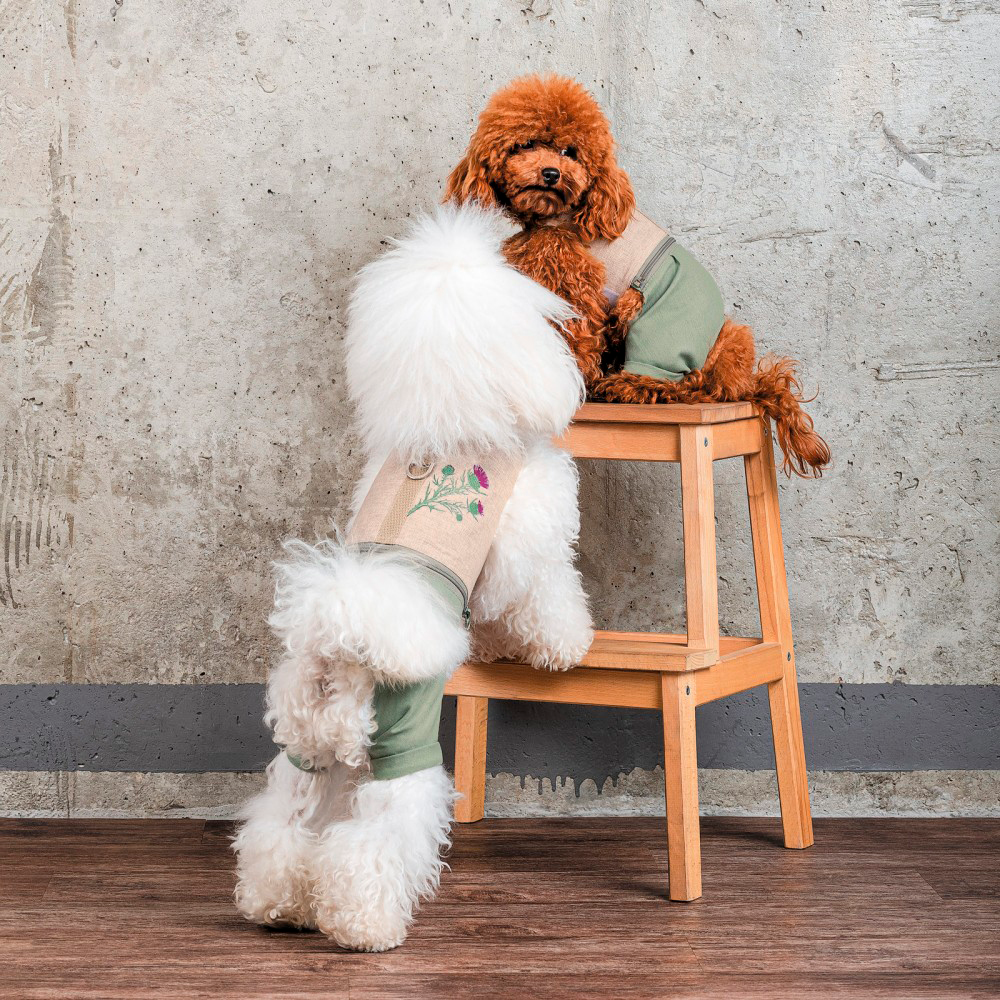 Шлея-костюм для собак Pet Fashion Patrik размер ХS фото 6