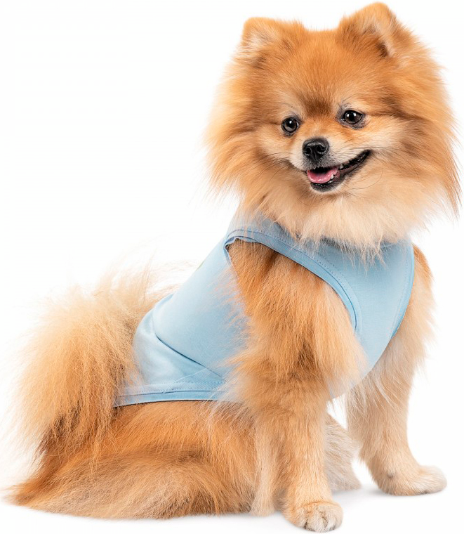 Майка для собак Pet Fashion Adam розмір ХSфото