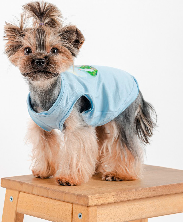 Майка для собак Pet Fashion Adam розмір Мфото