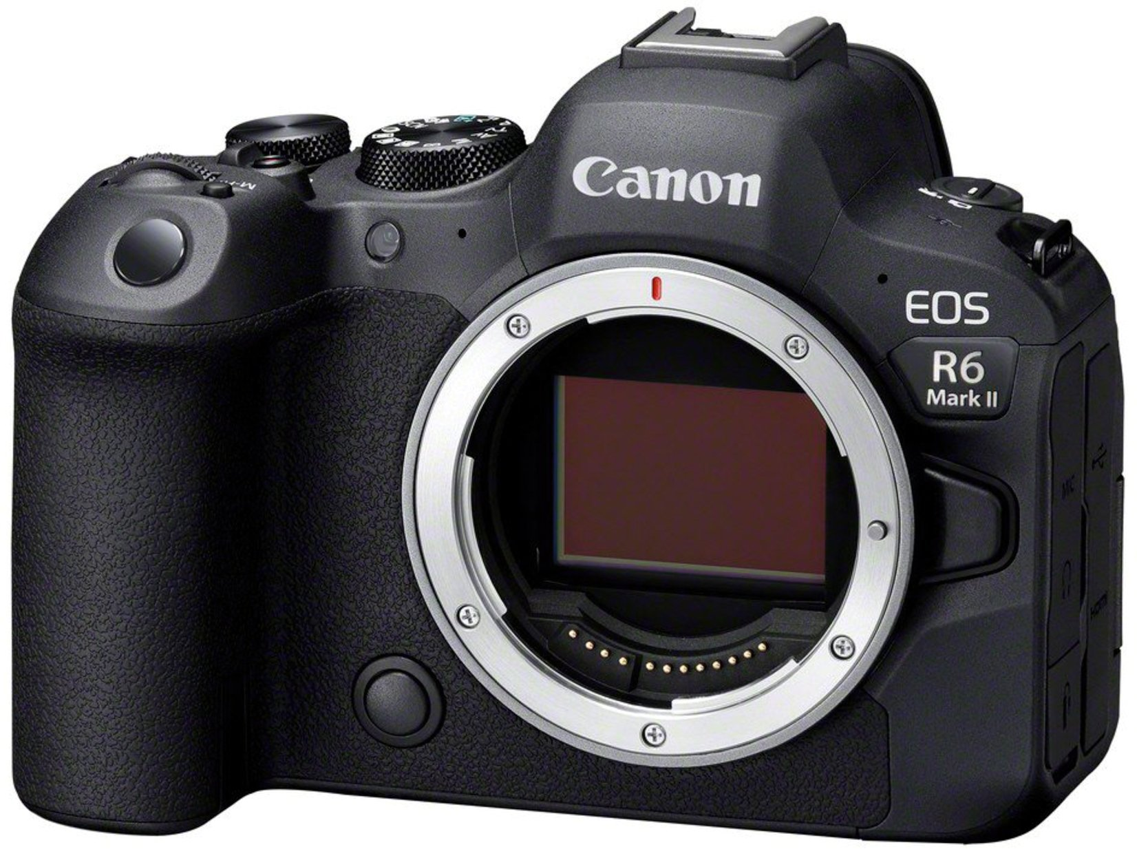 Фотоаппарат CANON EOS R6 Mark II + 24-70 mm f/2.8 L IS USM (5666C031RF2470) фото 3