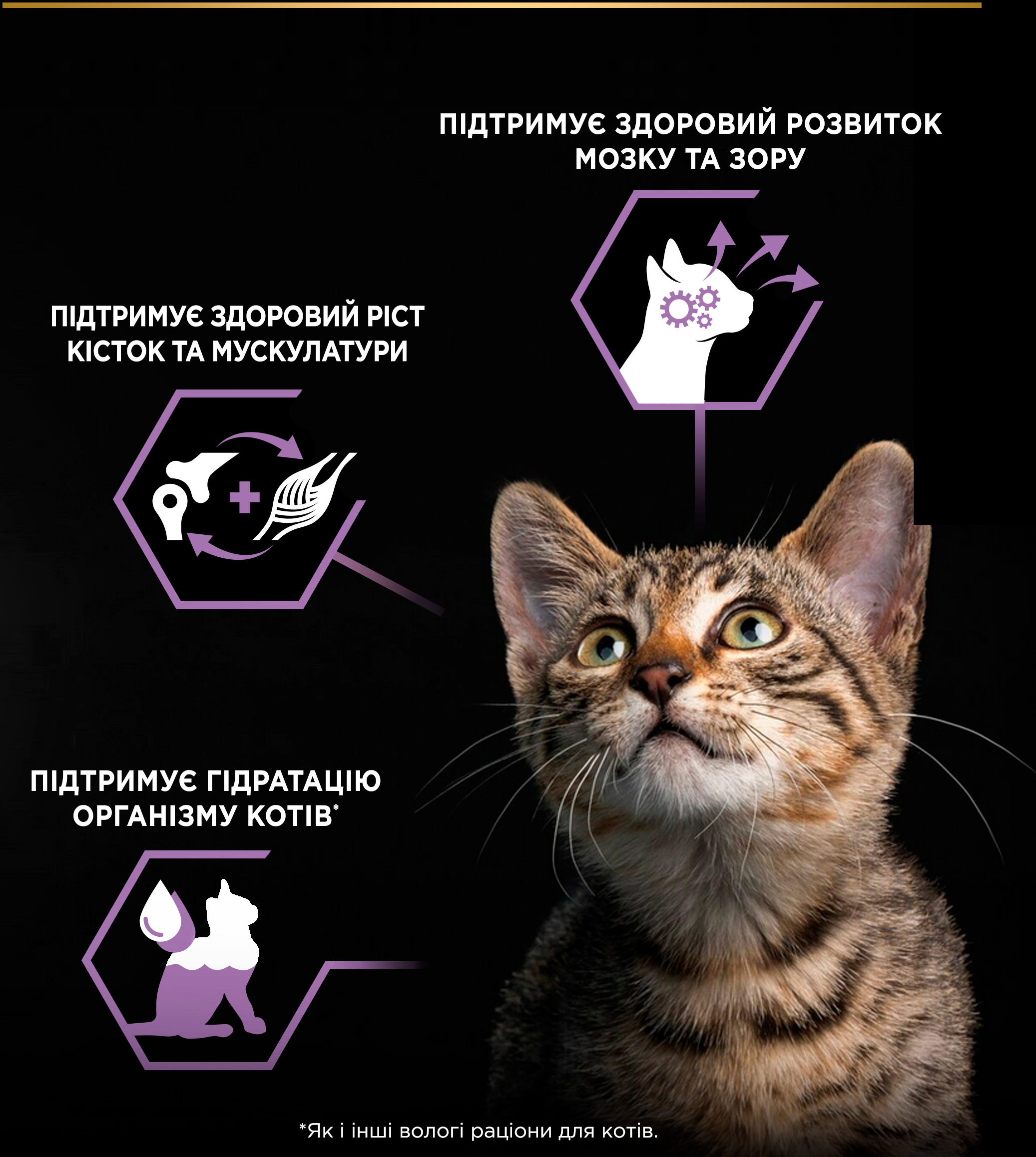 Вологий корм для кошенят Purina Pro Plan Kitten Healthy Start з індичкою 10*85гфото8