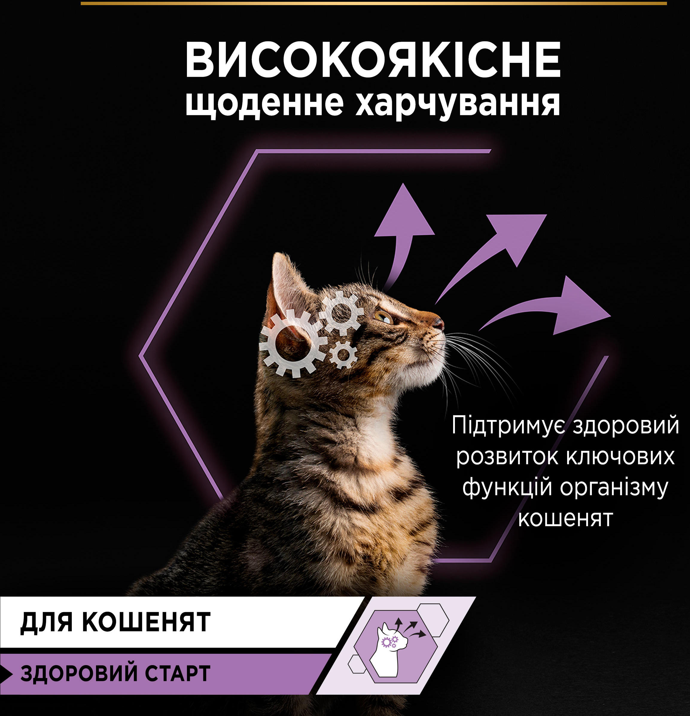 Вологий корм для кошенят Purina Pro Plan Kitten Healthy Start з індичкою 10*85гфото9