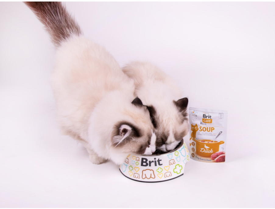 Влажный корм для котов Brit Care Суп с уткой 75г фото 6