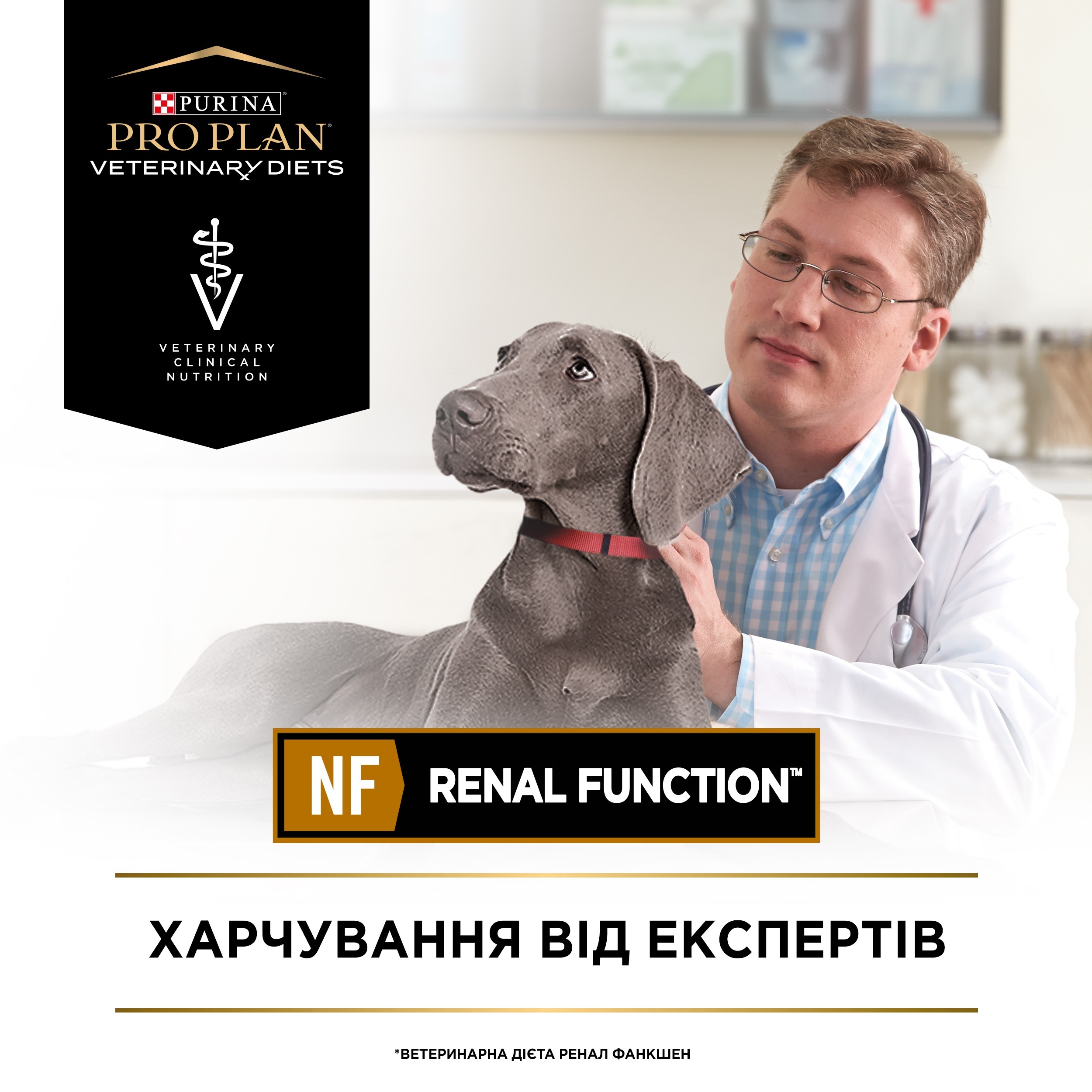 Влажный диетический корм для взрослых собак Pro Plan VD NF Renal Function при хронической болезни почек мусс 195 г фото 5