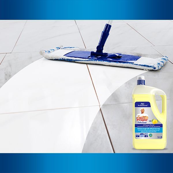 Универсальное средство Mr.Proper Professional Лимон 5 л фото 3