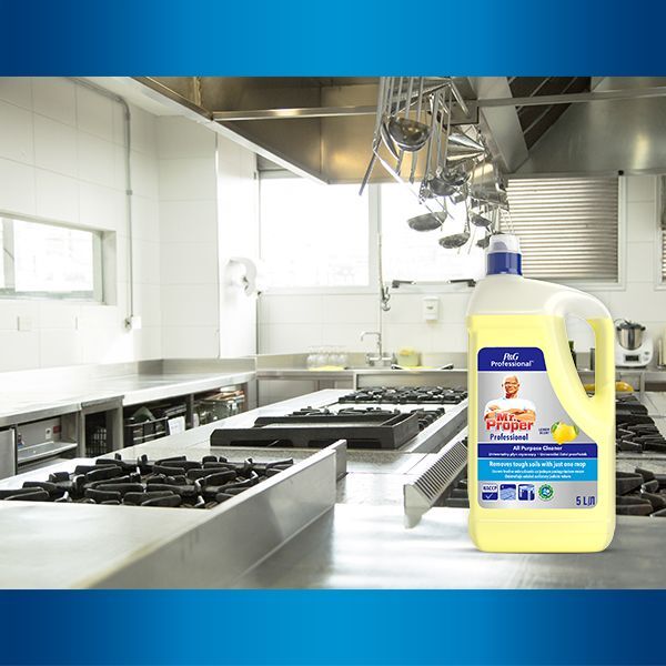 Универсальное средство Mr.Proper Professional Лимон 5 л фото 5