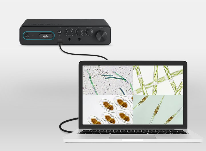 Аудіосистема AVer SA-A5, 2х Omni-mic, динаміки 2х32 Вт, USB, BT, 3.5 mini jack, RJ45, чорнийфото6