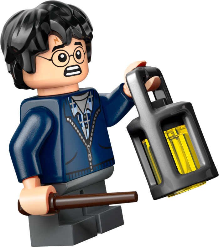 Конструктор LEGO 76434 Harry Potter Арагог у Забороненому лісіфото17