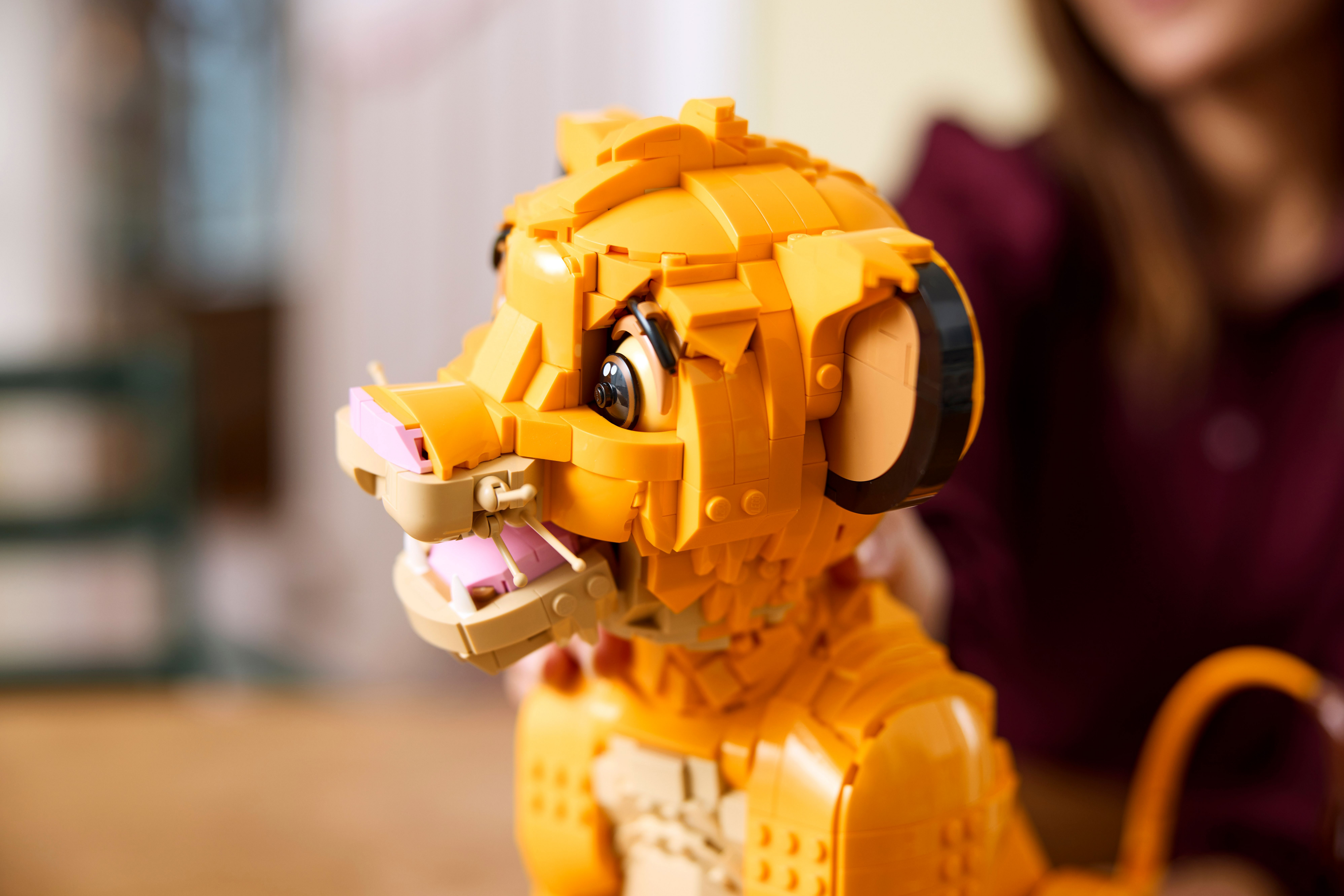 Конструктор LEGO Disney Classic Юный король Лев Симба 43247 фото 15