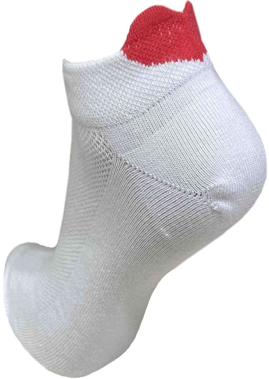 Шкарпетки жіночі Premier Socks 36-40 1 пара білі з принтом Серце (4820163318974)фото3
