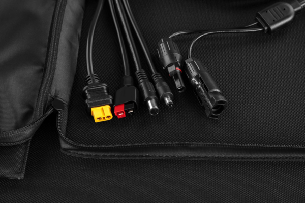 WHAT WE WANT TAKIBIDAIMITAINATABLE (ナラ) WHAT WE WANT TAKIBIDAIMITAINATABLE (ナラ