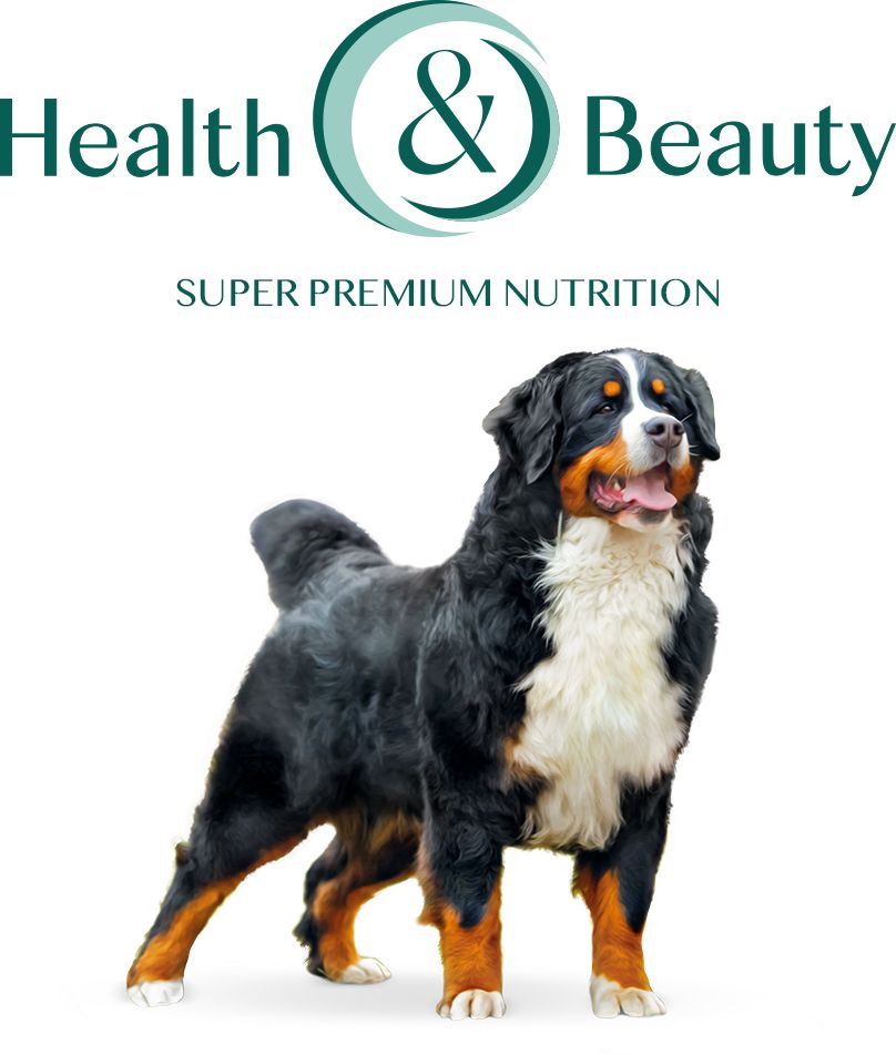 Сухий корм Optimeal для дорослих собак великих порід з куркою 4кг (b1760601)фото11