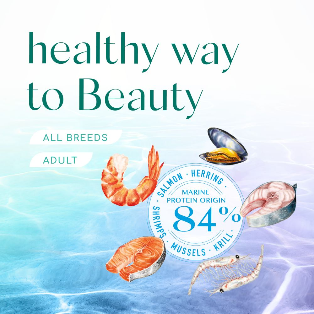 Сухий корм Optimeal Beauty Podium для дорослих кішок з морепродуктами 4кг (B1842201)фото8