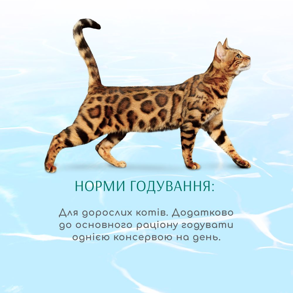 Влажный корм Optimeal Beauty Podium для кошек с полосатым тунцом и кольцами кальмаров в соусе 70г (B2782201) фото 4