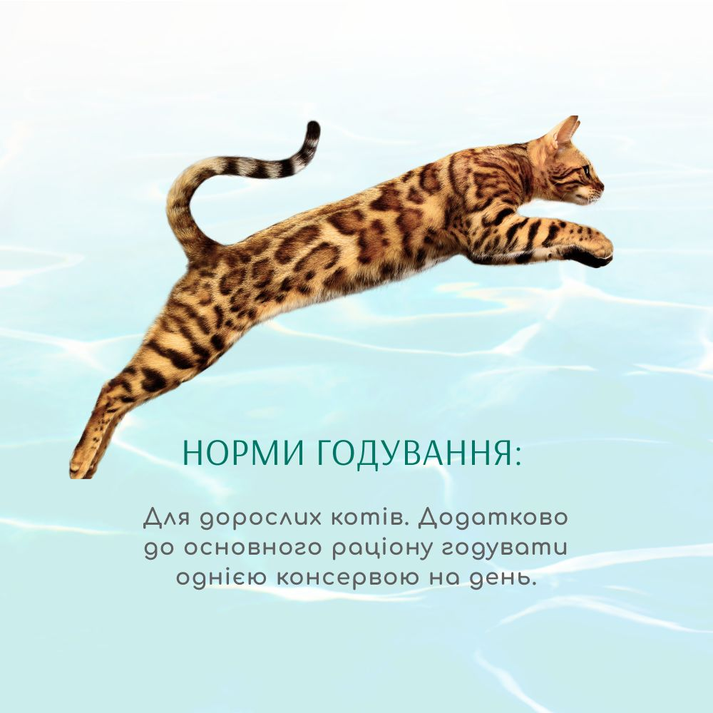 Влажный корм Optimeal Beauty Fitness для кошек с полосатым тунцом и креветками в соусе 70г (B2782301) фото 4